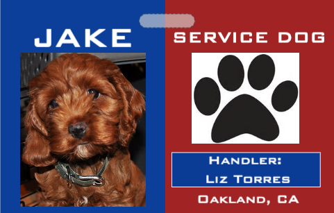 Service Dog ID badge