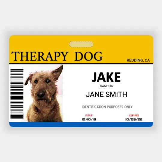 Service Dog Card