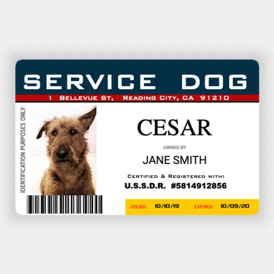 Service Dog ID
