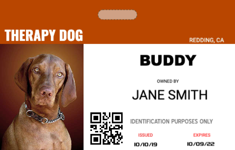 Service Dog Tag