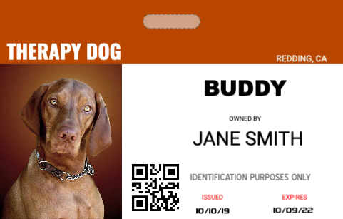 Service Dog Id Card Template Free Download from www.easyidcard.com