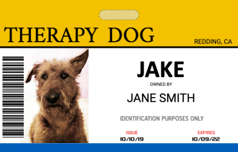 Service Dog Id Card Template from www.easyidcard.com