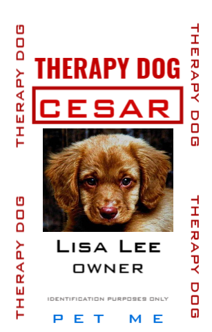 Service Dog Name Tag